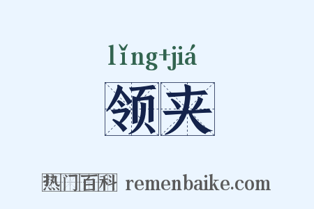 领夹是什么意思的图片